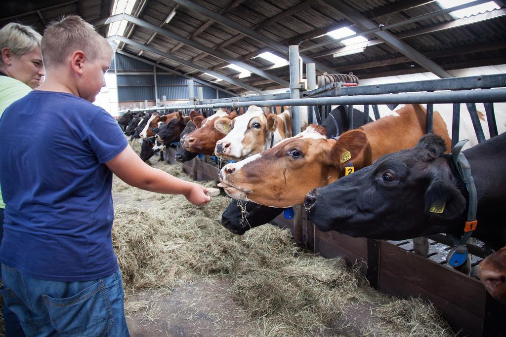 Farm Overleekerhoeve モニキンダム エクステリア 写真
